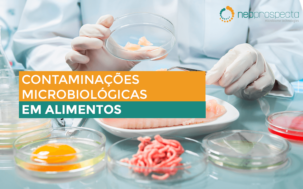 Contaminações microbiológicas em alimentos