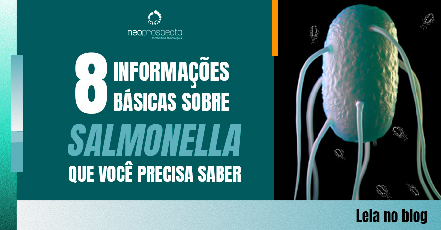 8 informações básicas sobre Salmonella que você precisa saber