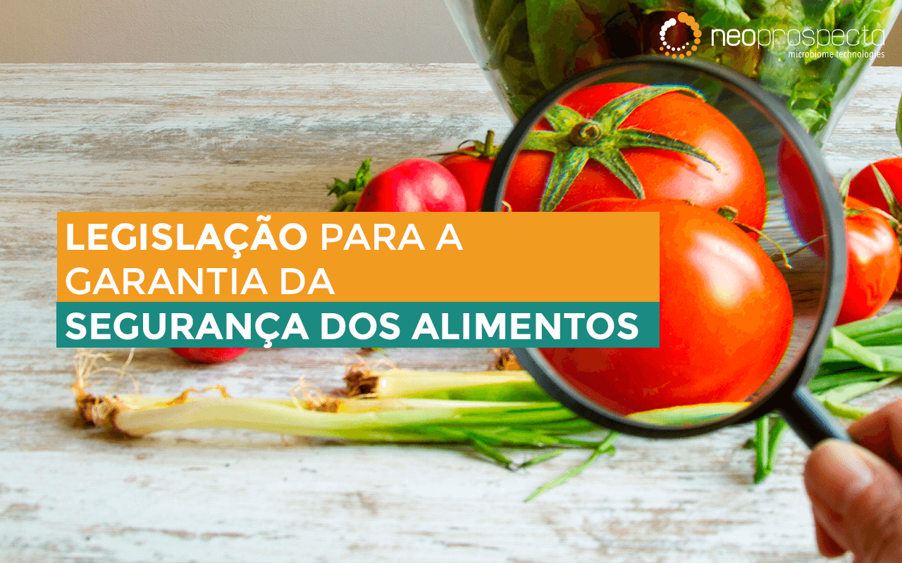 Segurança dos alimentos: Legislações utilizadas para garantir a qualidade dos alimentos no Brasil