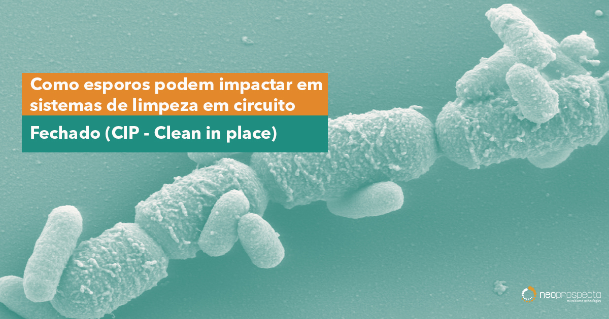 Como esporos podem impactar em sistemas de limpeza em circuito fechado (CIP – Clean in place).
