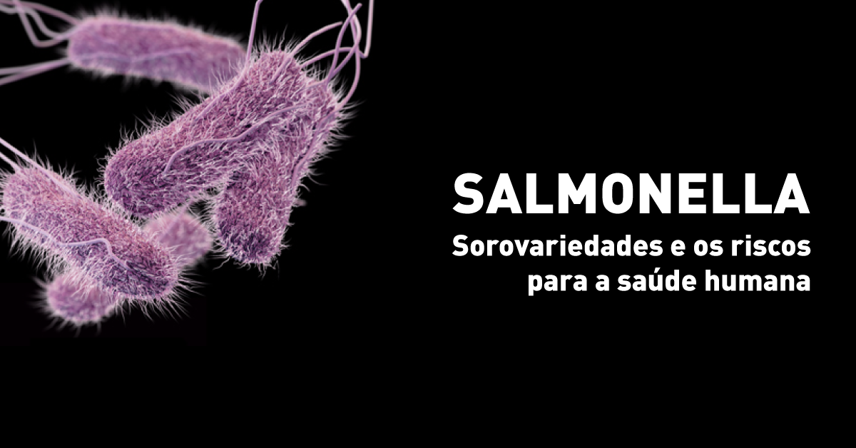 Salmonella: Sorovariedades e os riscos para a saúde humana