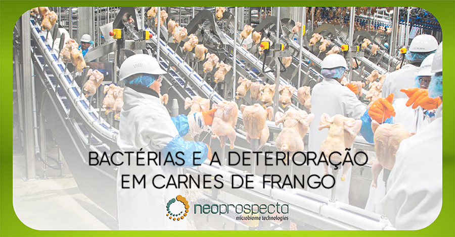 TIPOS DE CARNE DE FRANGO