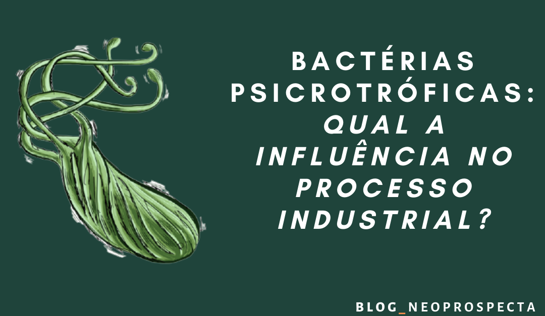 Bactérias psicrotróficas: Qual a influência no processo industrial?