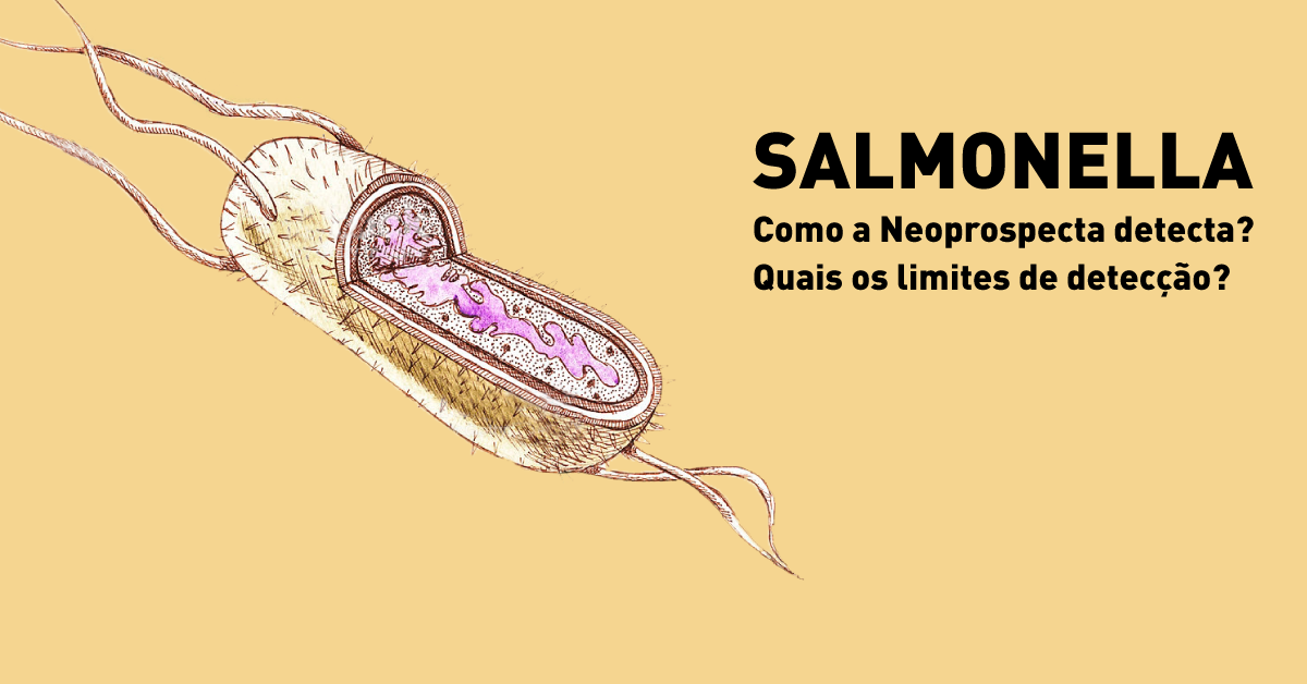 Salmonella: Como a Neoprospecta detecta? Quais os limites de detecção?