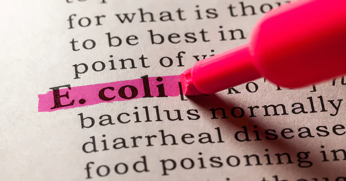 E. COLI – Uma introdução sobre o microrganismo