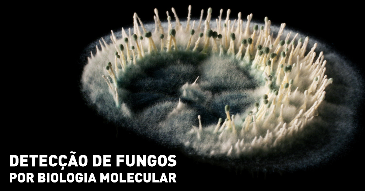 Detecção de fungos por biologia molecular