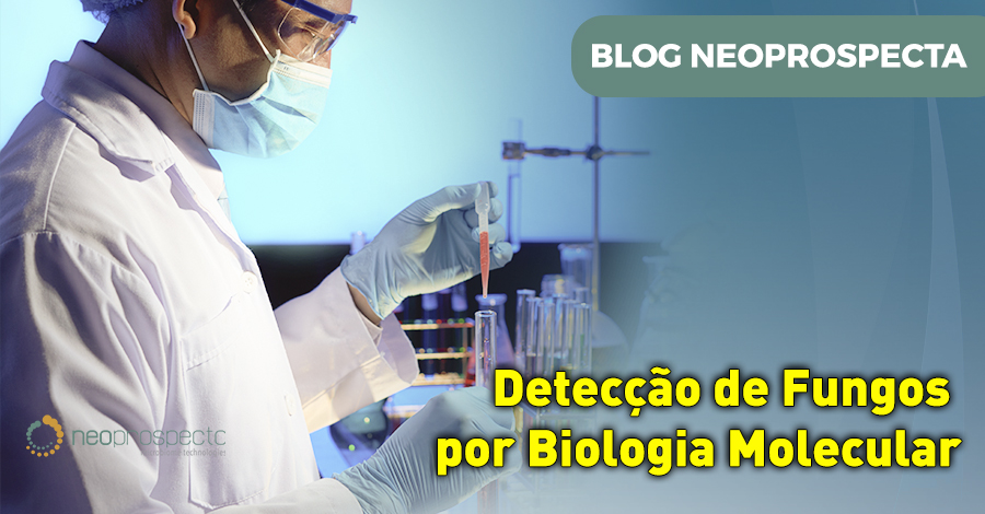 Detecção de fungos por biologia molecular