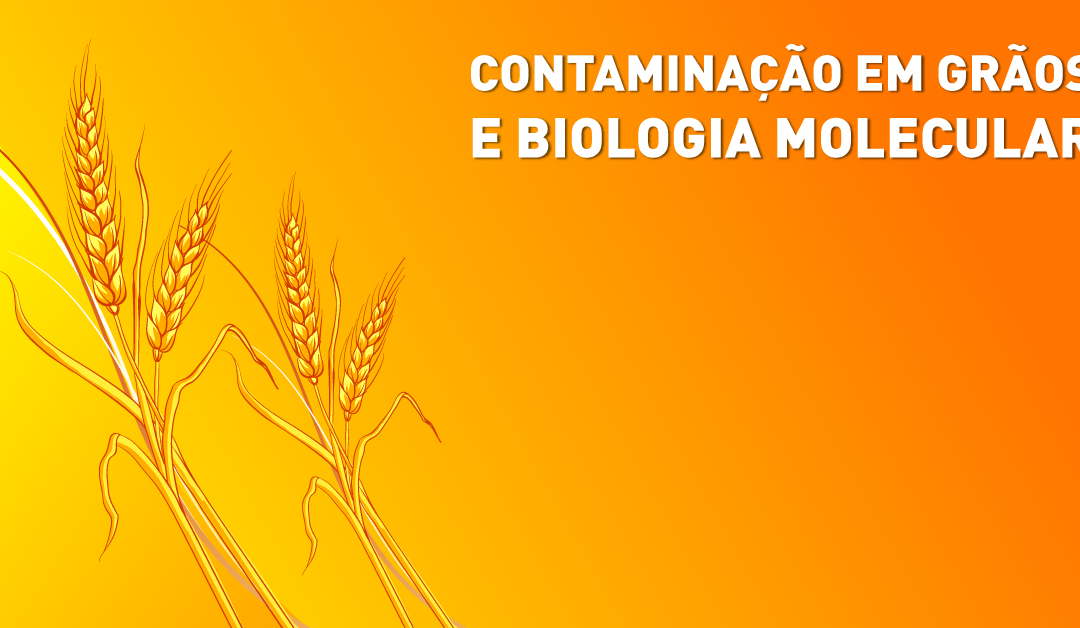 Contaminação em grãos e biologia molecular
