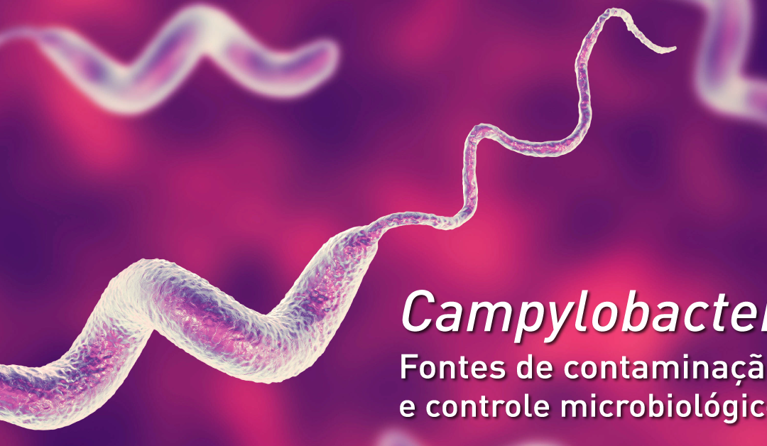 Campylobacter: fontes de contaminação e controle microbiológico