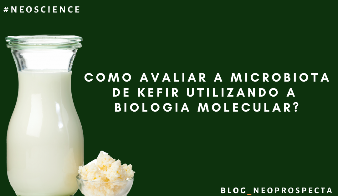 COMO AVALIAR A MICROBIOTA DE KEFIR UTILIZANDO A BIOLOGIA MOLECULAR?