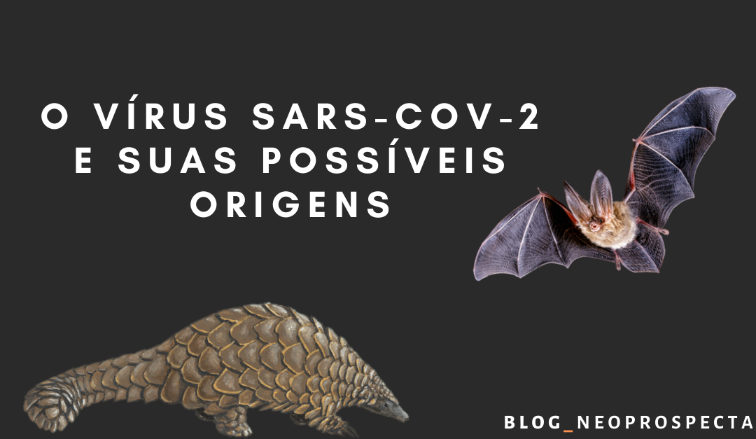 O vírus SARS-CoV-2 e suas possíveis origens