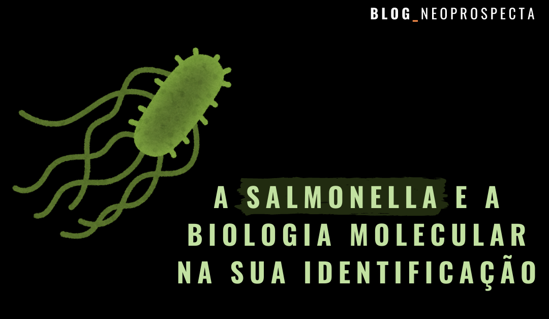 A Salmonella e a biologia molecular na sua identificação