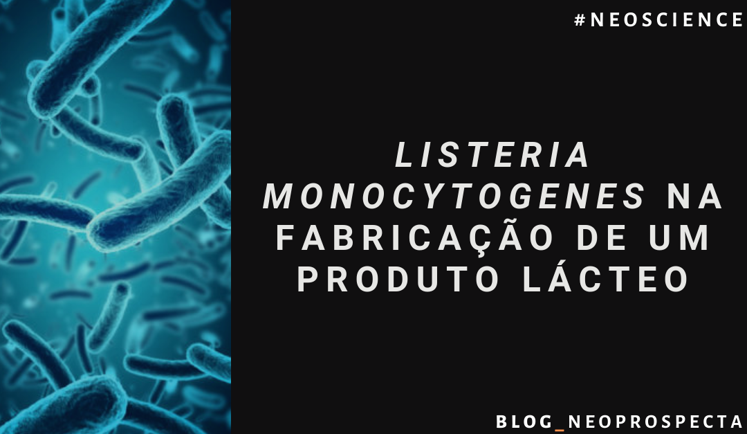 Listeria monocytogenes na fabricação de um produto lácteo
