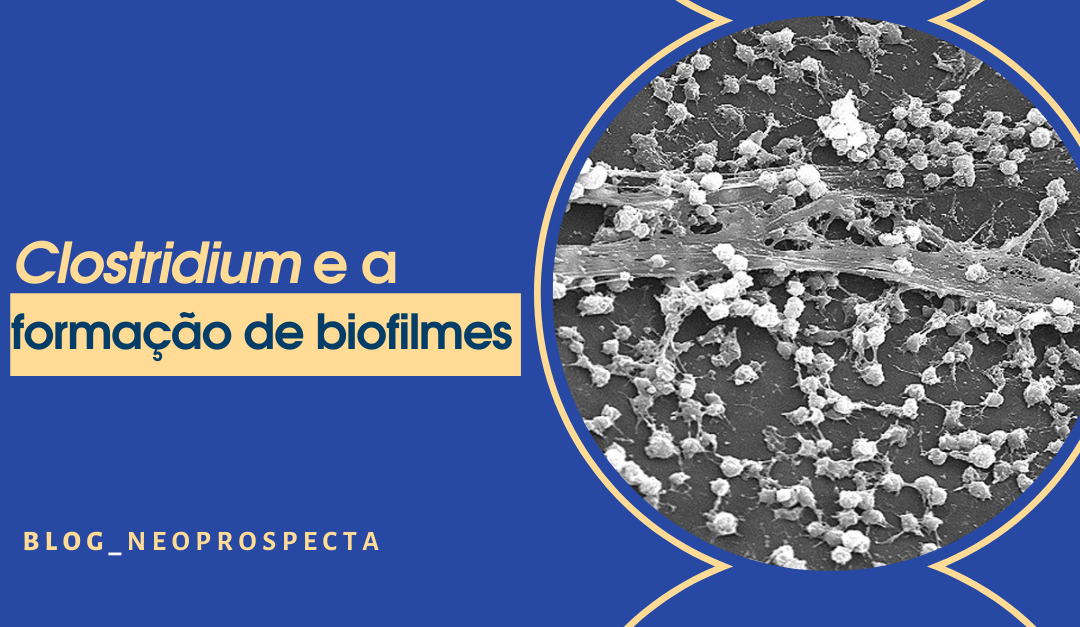 Clostridium e a formação de biofilmes