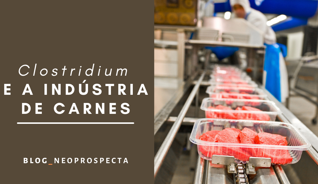 Clostridium e a indústria de carnes