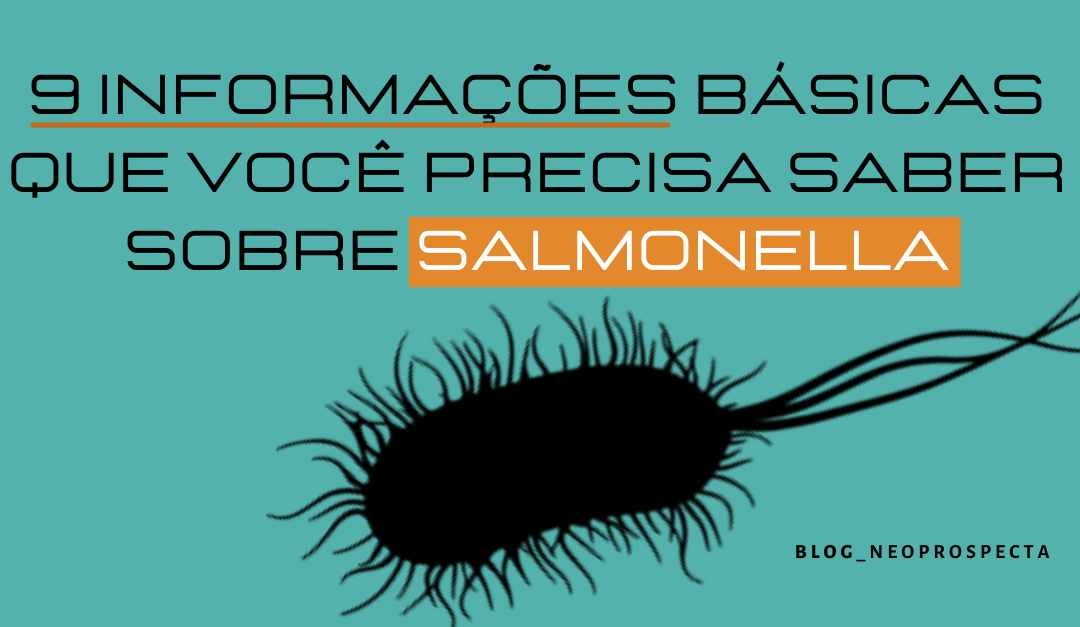9 informações básicas que você precisa saber sobre Salmonella