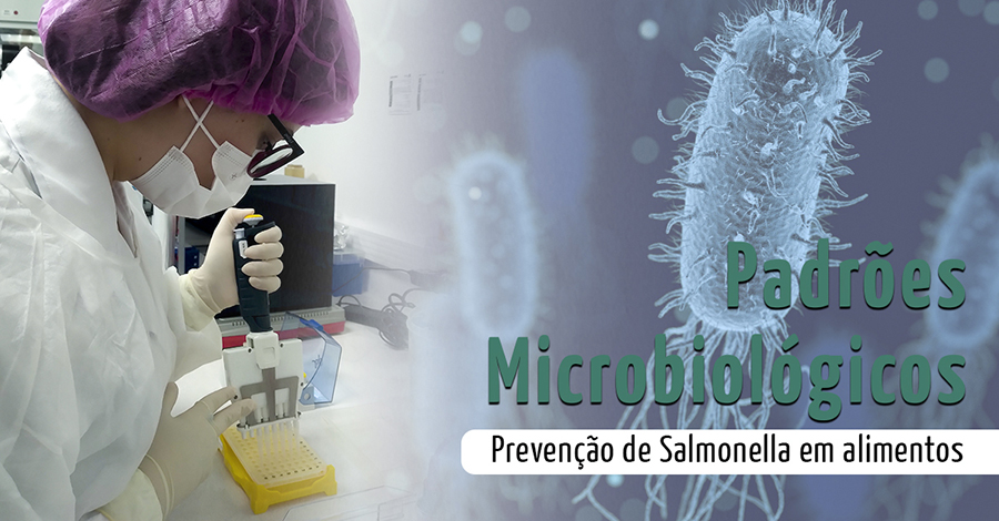 Padrões microbiológicos na prevenção de Salmonella em alimentos