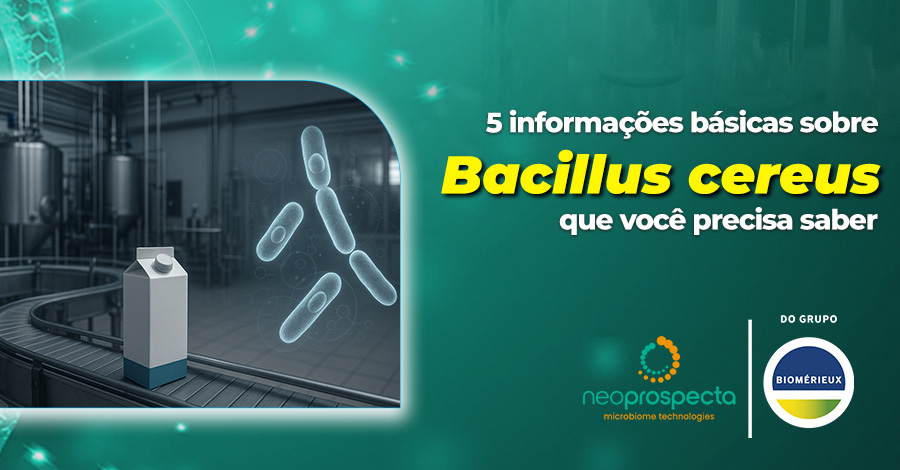 5 informações básicas sobre Bacillus cereus que você precisa saber