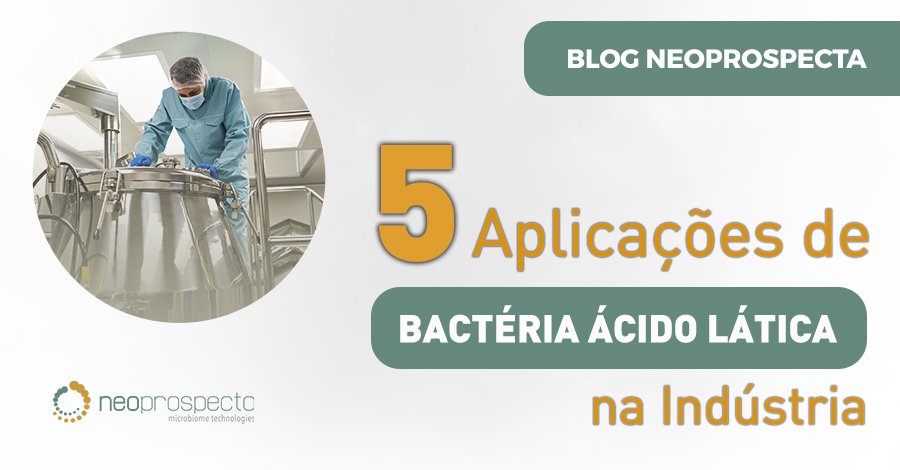 Bactéria ácido lática: 5 aplicações industriais que você talvez não conheça