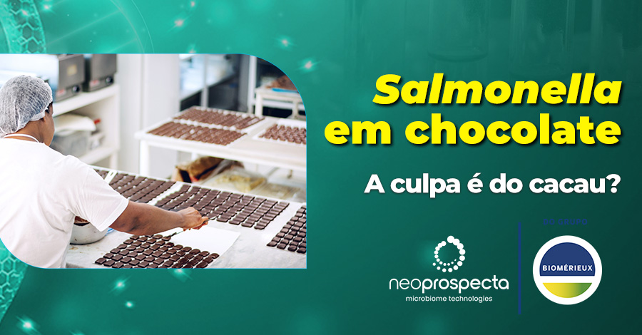 Salmonella em chocolate: o que está acontecendo?