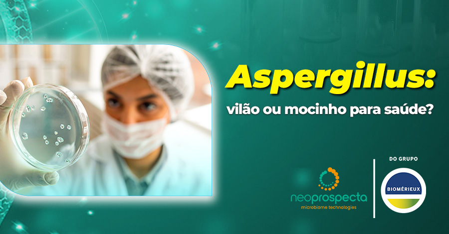Aspergillus: vilão ou mocinho para a saúde?