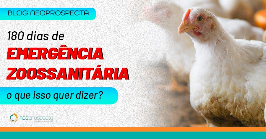 Emergência Zoossanitária na avicultura!