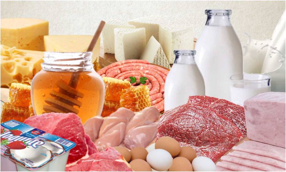 alimentação livre de contaminações