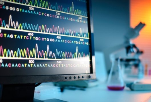 bioinformática