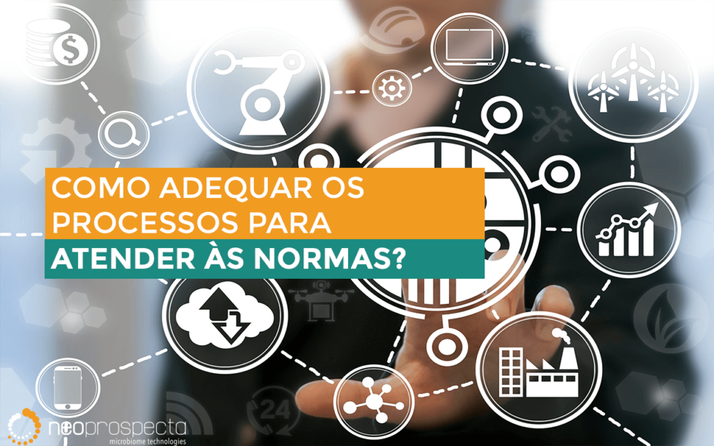 adequação dos processos para atender às normas