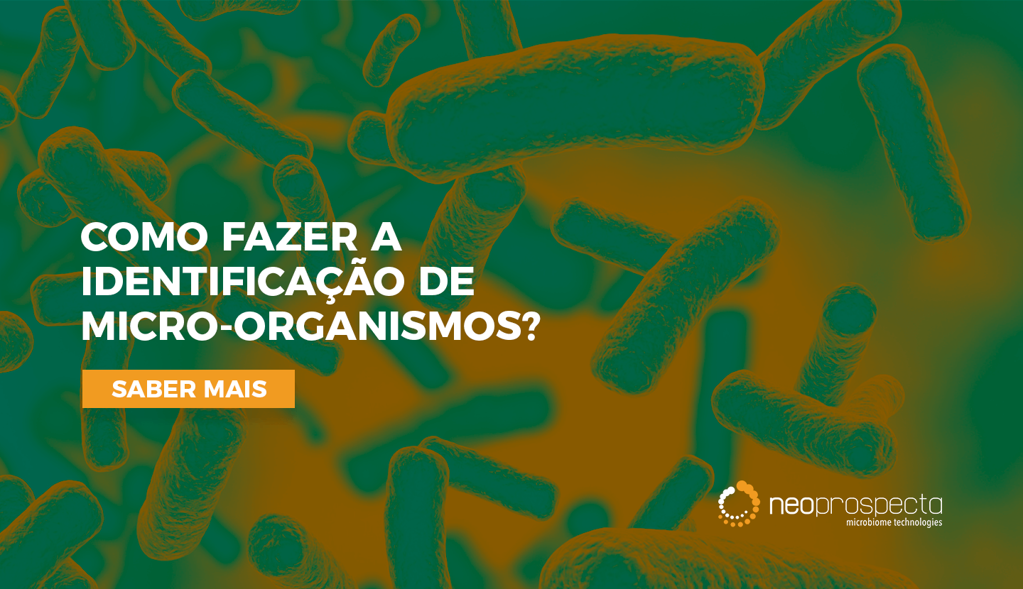 Como fazer a identificação de micro-organismos