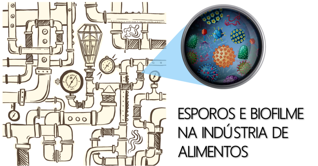 esporos-biofilme-alimentos