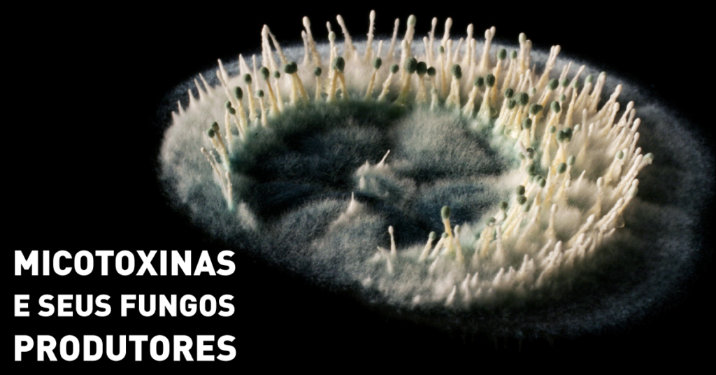 PRINCIPAIS-MICOTOXINAS-E-SEUS-FUNGOS-PRODUTORES
