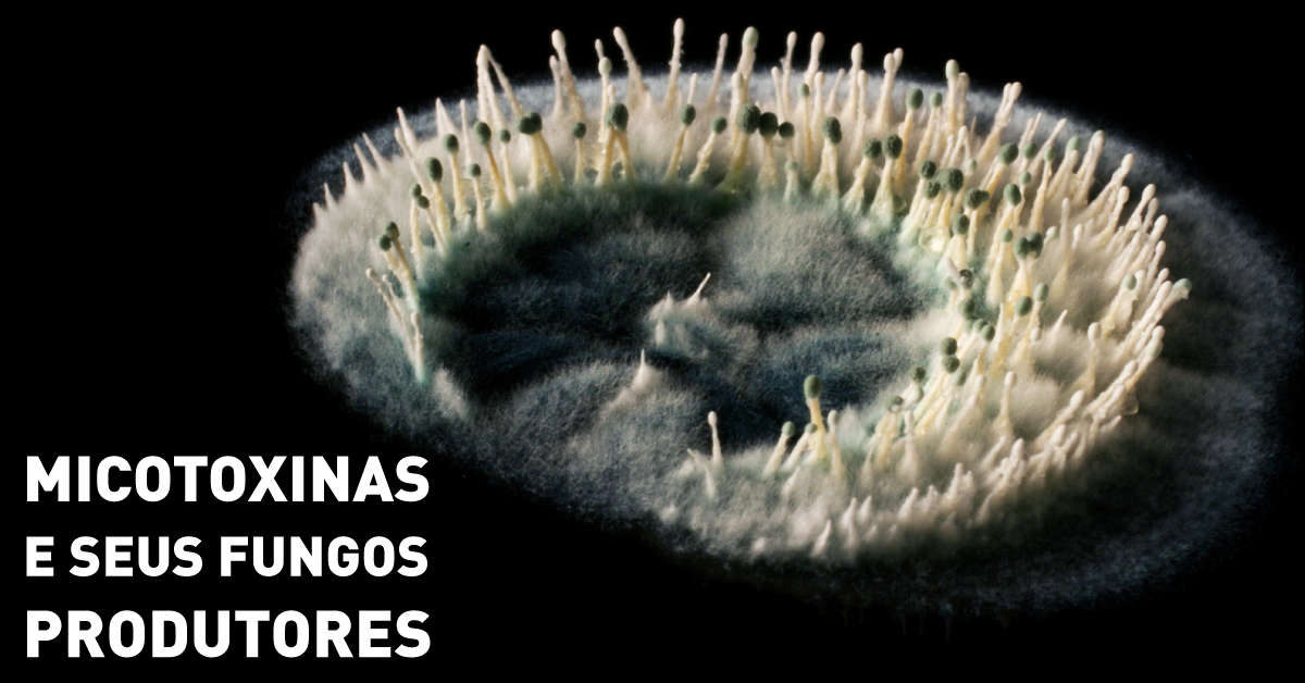 PRINCIPAIS-MICOTOXINAS-E-SEUS-FUNGOS-PRODUTORES