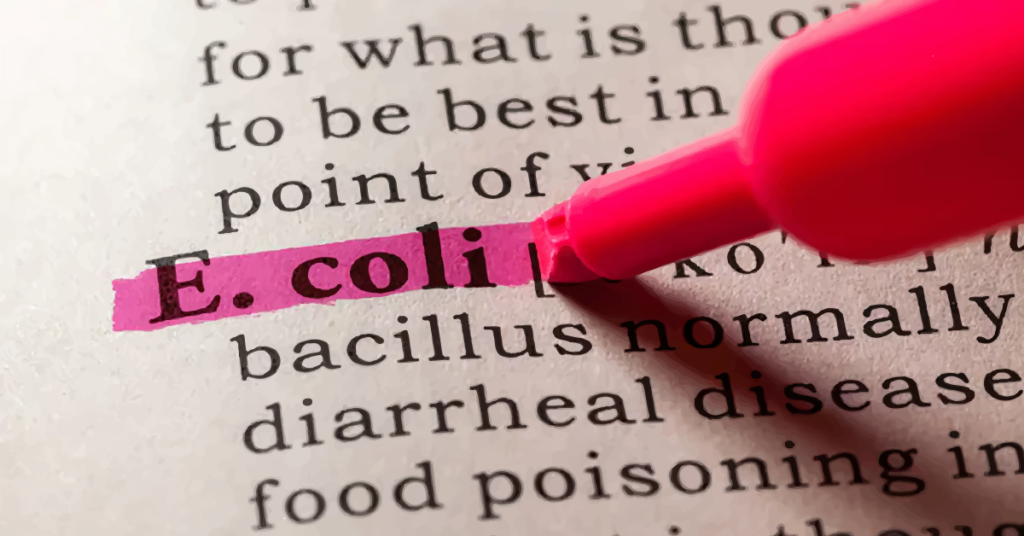 e coli